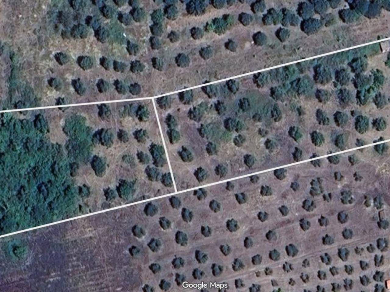 immagine annuncio 7 di 9