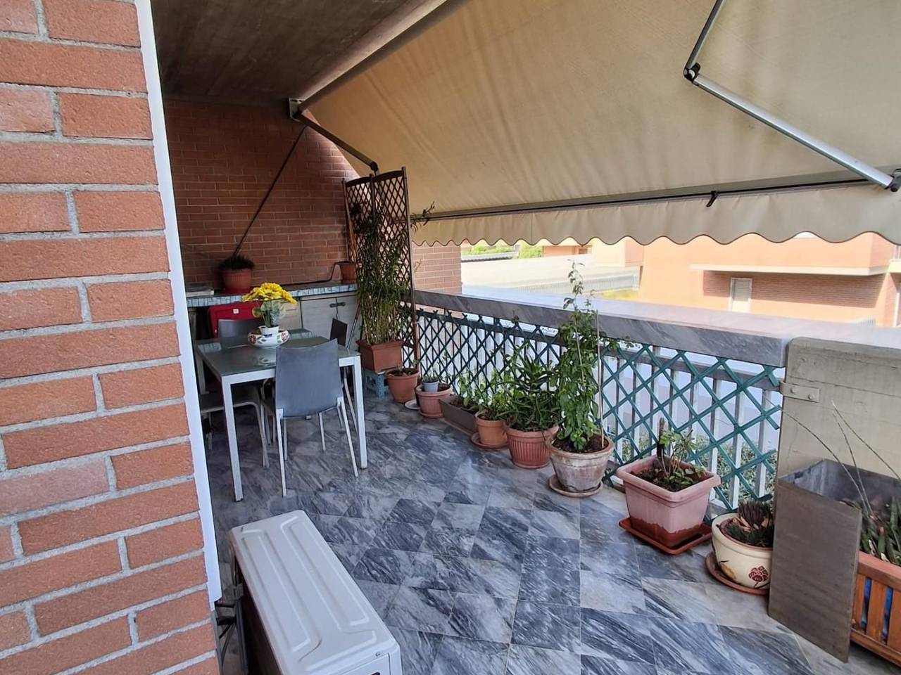 immagine annuncio 9 di 12