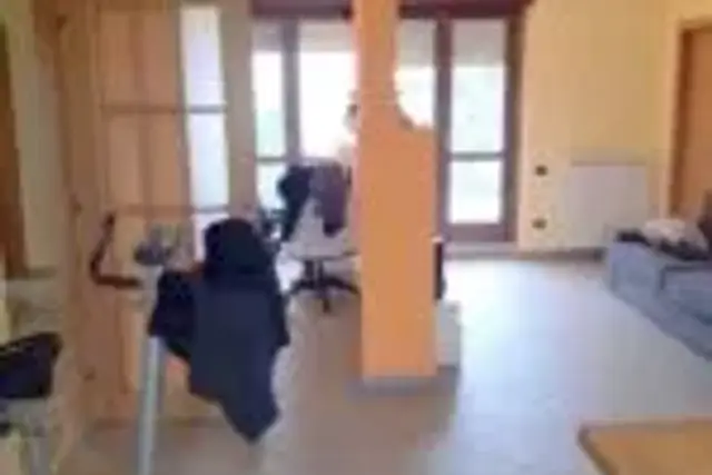 insertion image