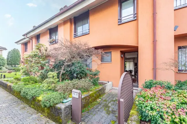 insertion image