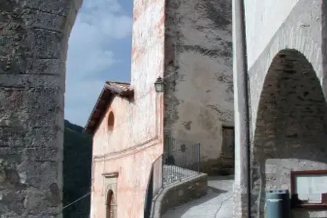 insertion image