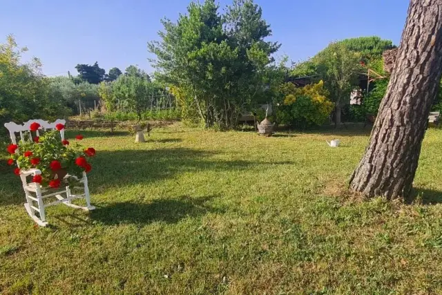 Terreno agricolo, Piombino - Foto 1