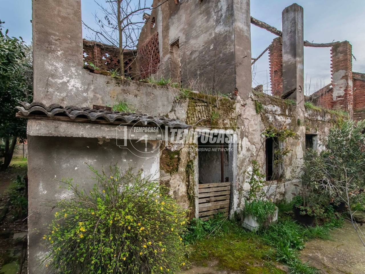 immagine annuncio 6 di 11