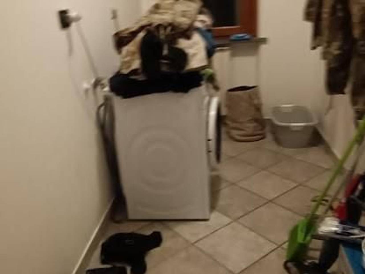 immagine annuncio 12 di 14