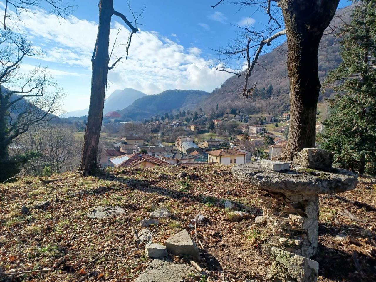 immagine annuncio 12 di 15