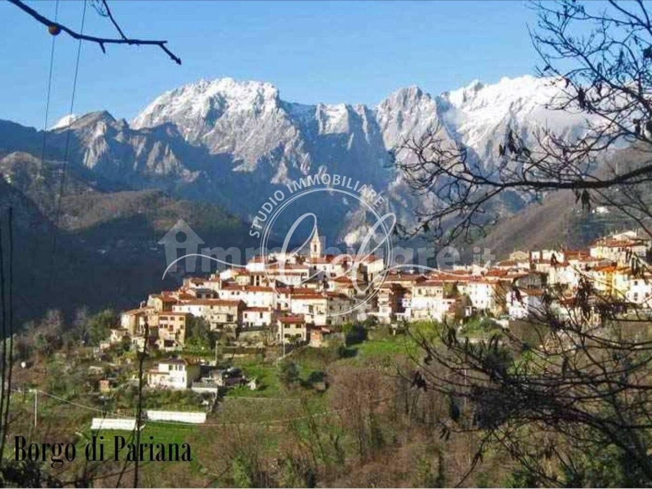 immagine annuncio 4 di 7