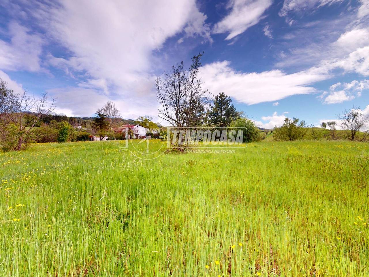 immagine annuncio 10 di 12