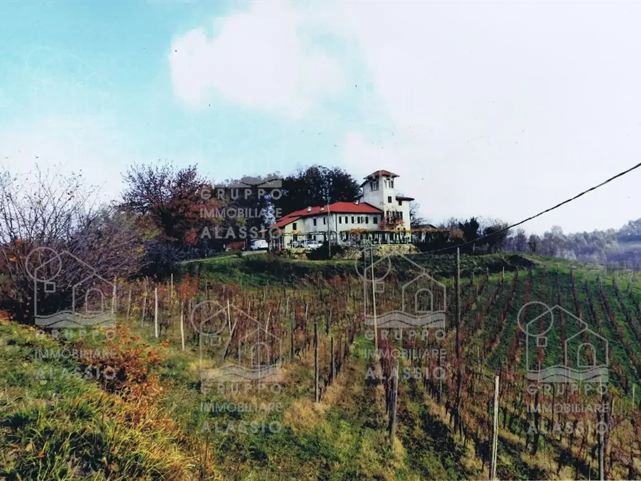 Azienda agricola in , Rocca Grimalda, {3} - Foto 1