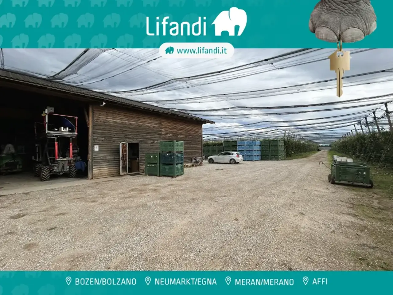 Azienda agricola in , Castions Di Strada, {3} - Foto 1