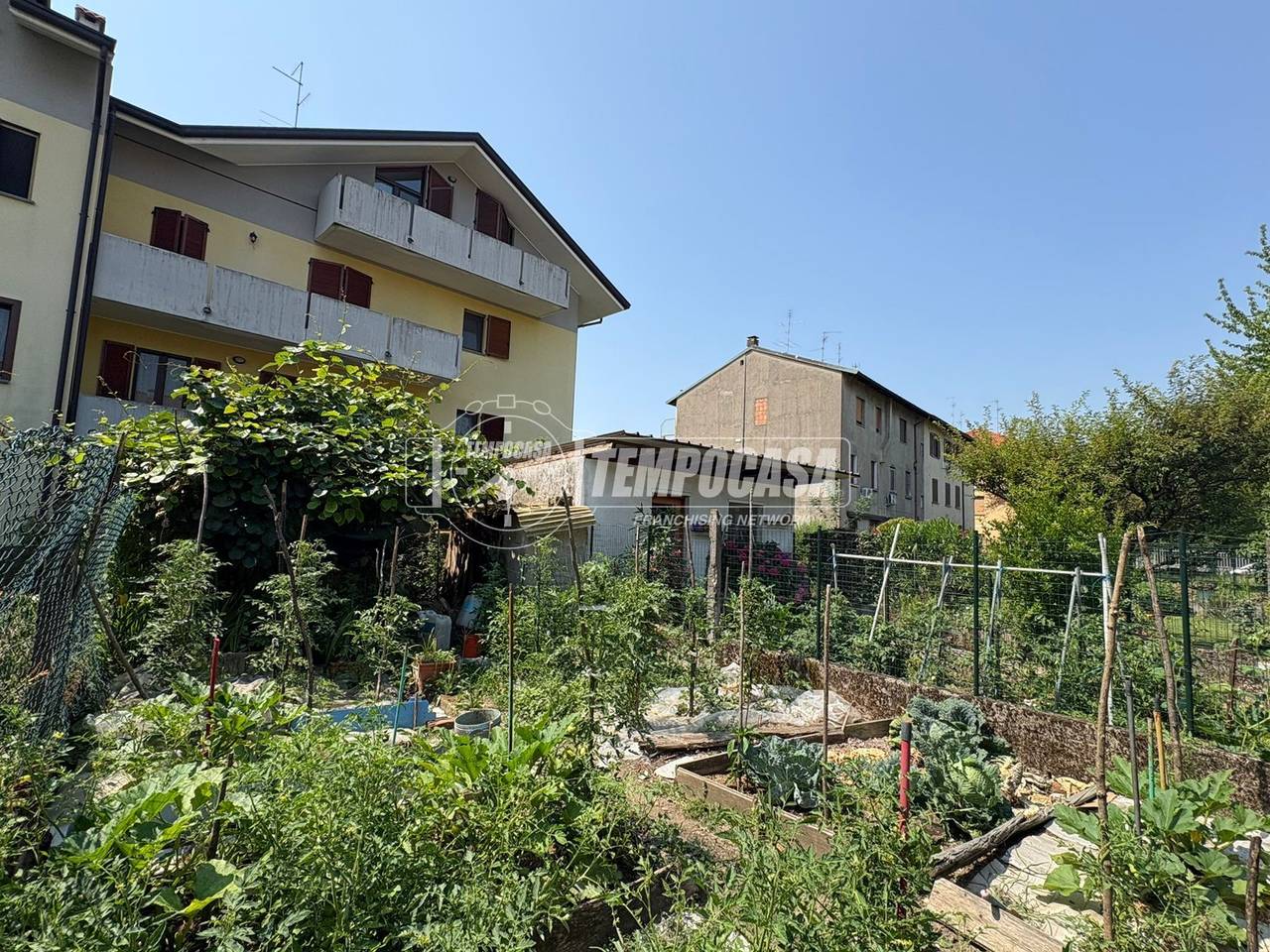 immagine annuncio 10 di 12