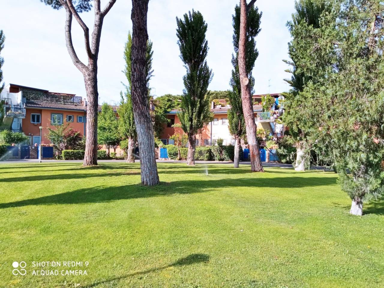 immagine annuncio 6 di 11