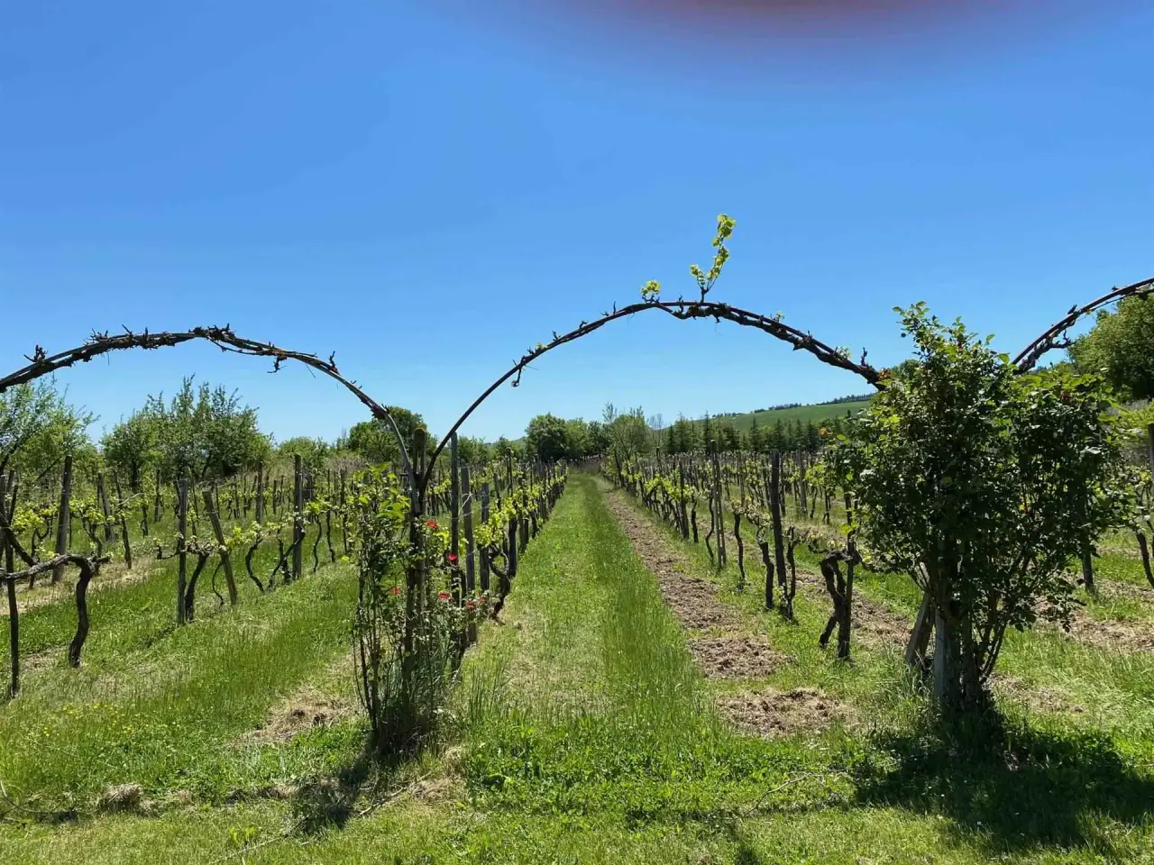 Agriturismo in , Piancastagnaio, {3} - Foto 1
