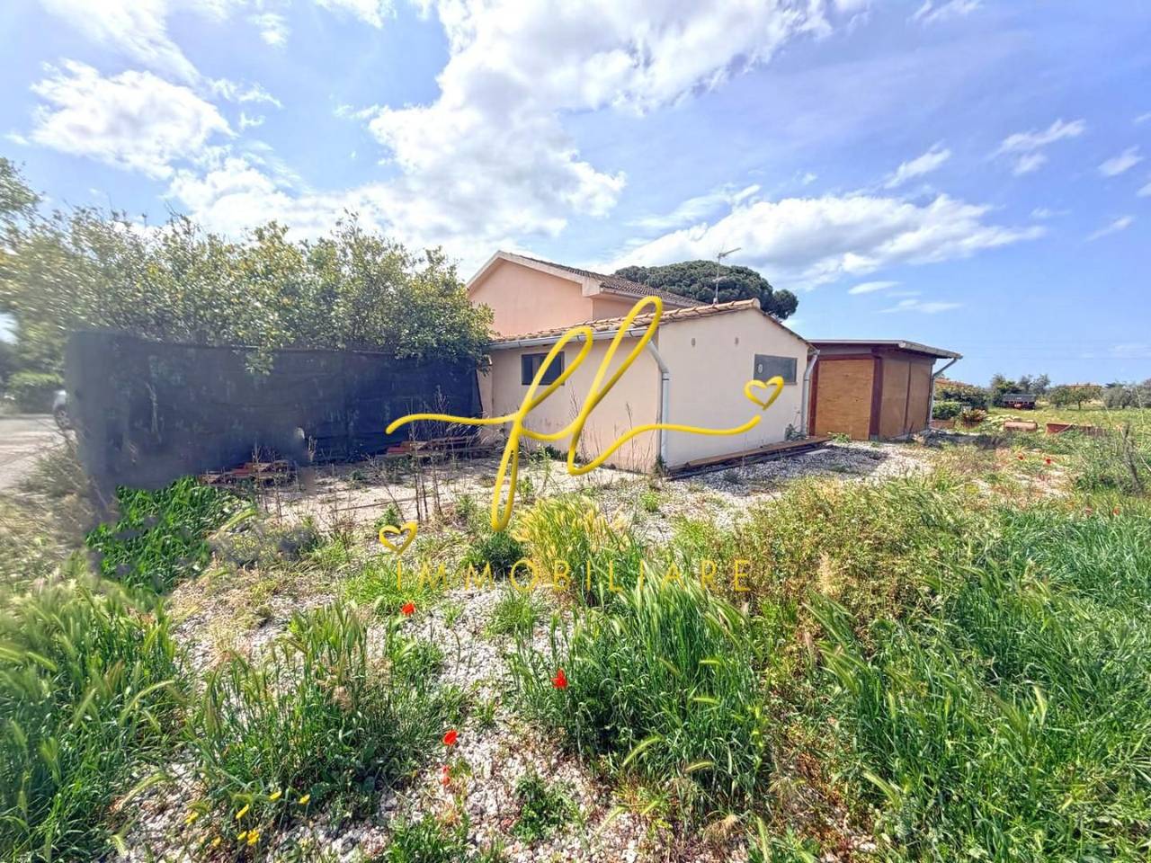 immagine annuncio 8 di 9