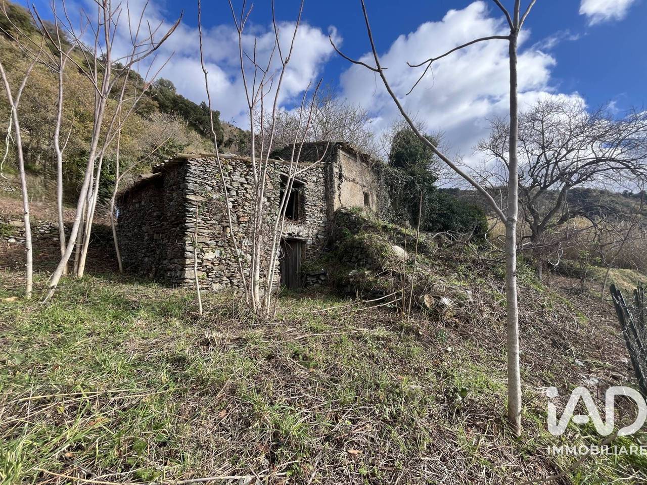 immagine annuncio 1 di 13