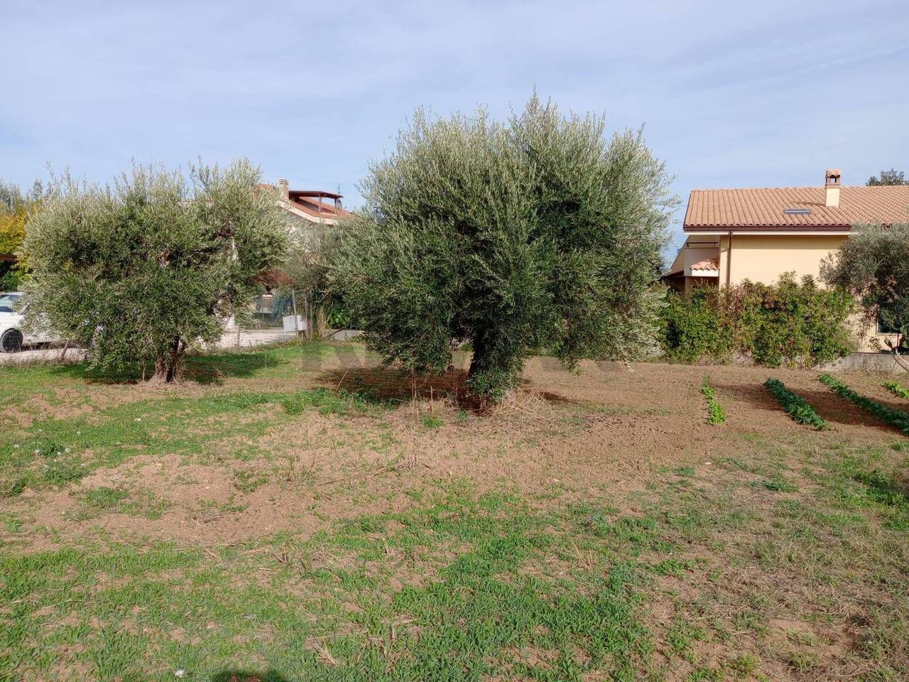 immagine annuncio 6 di 7