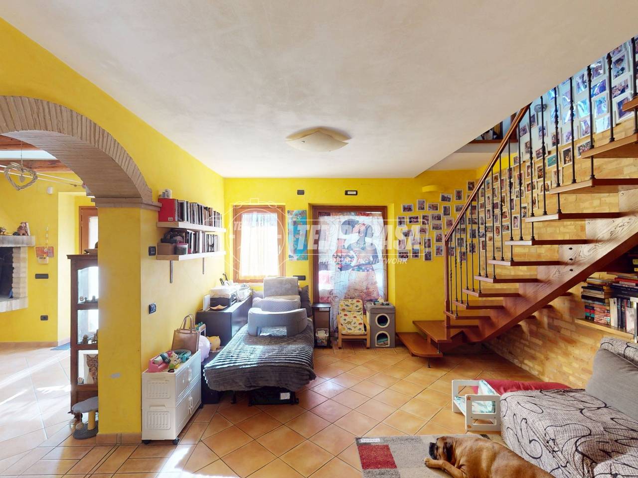 immagine annuncio 8 di 15