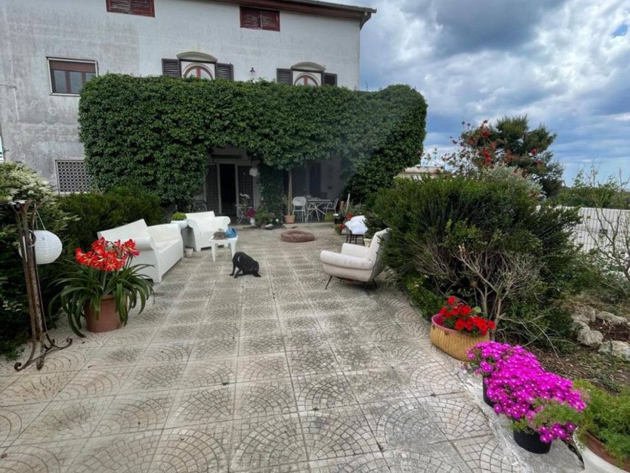 immagine annuncio 14 di 15