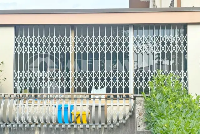 insertion image