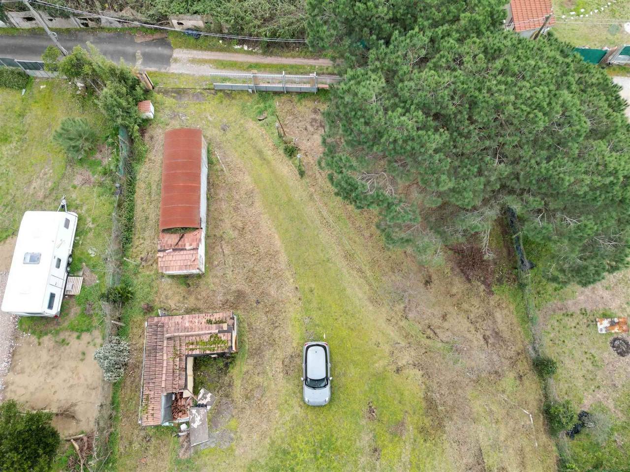 immagine annuncio 10 di 12