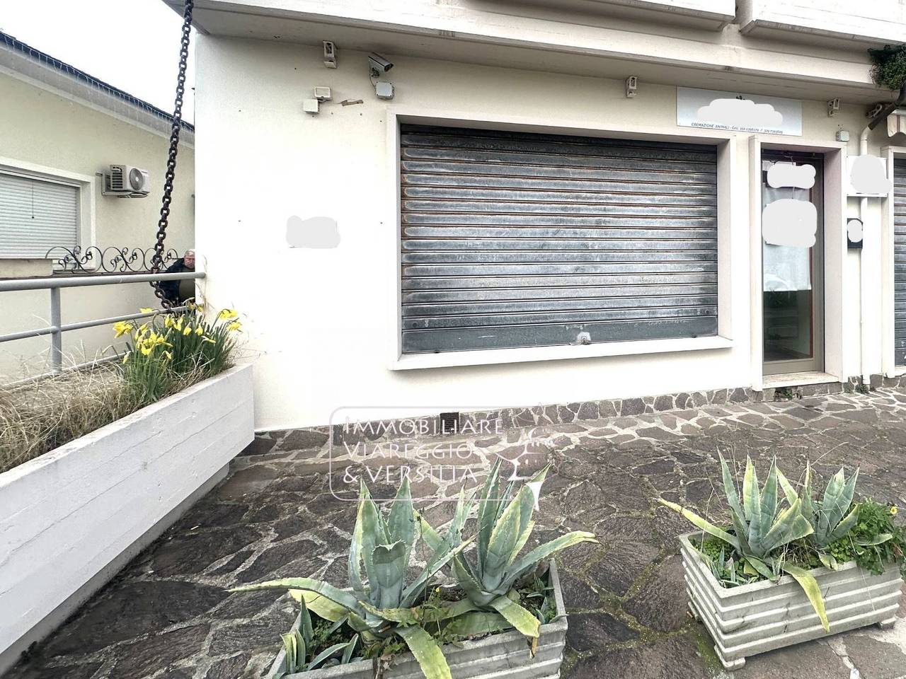immagine annuncio 5 di 7