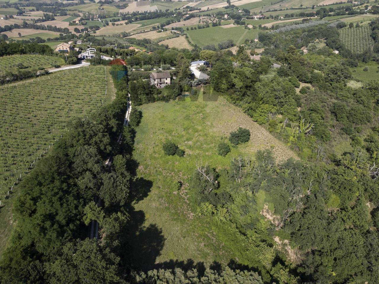 immagine annuncio 5 di 11
