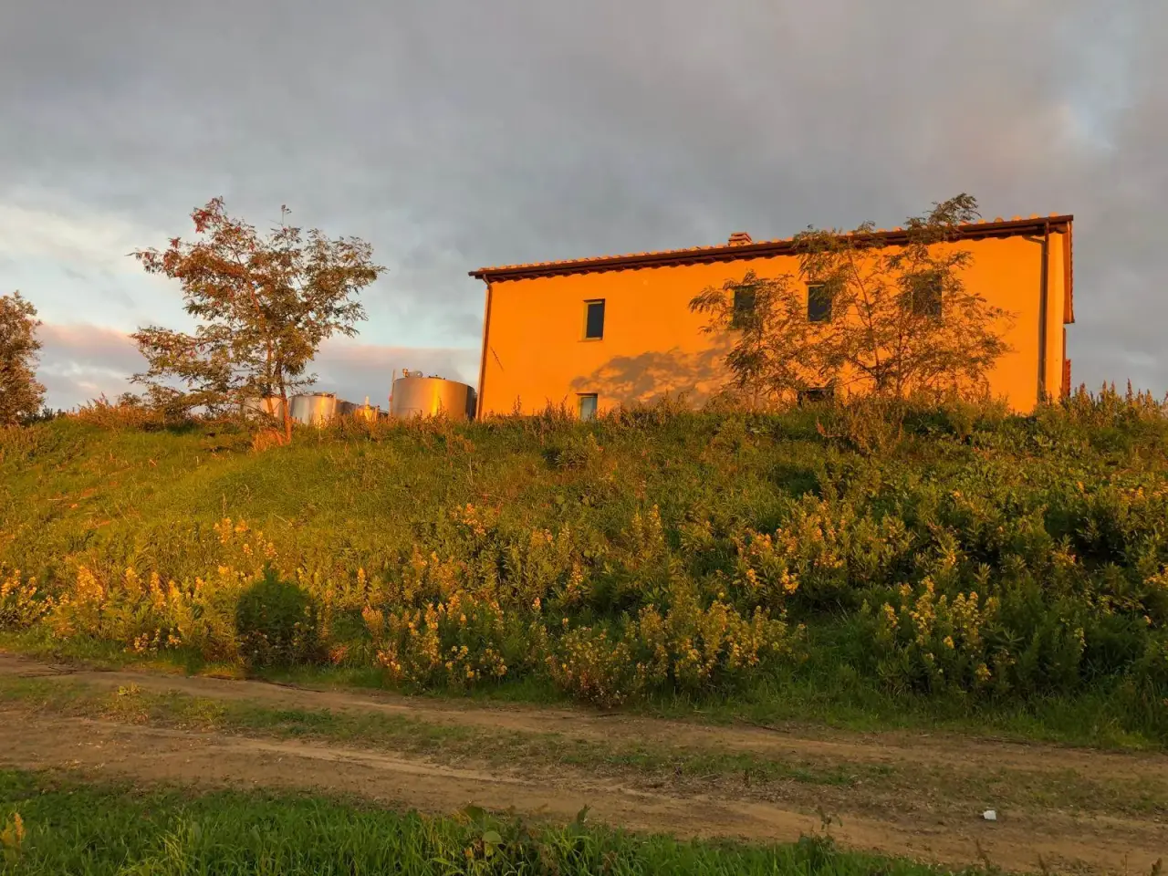 Azienda agricola in Scansano, Scansano, {3} - Foto 2
