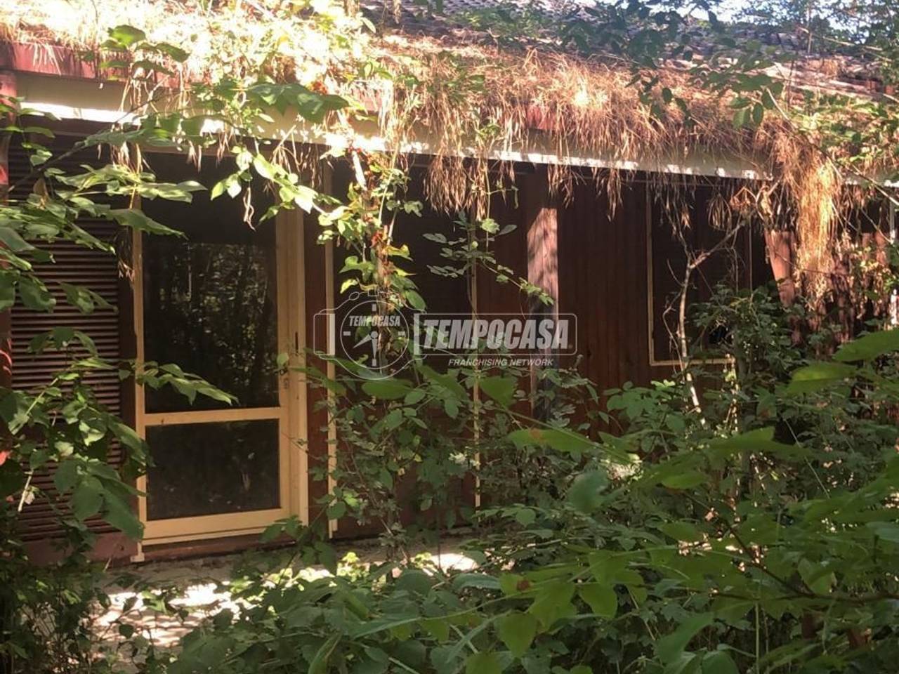 immagine annuncio 1 di 4