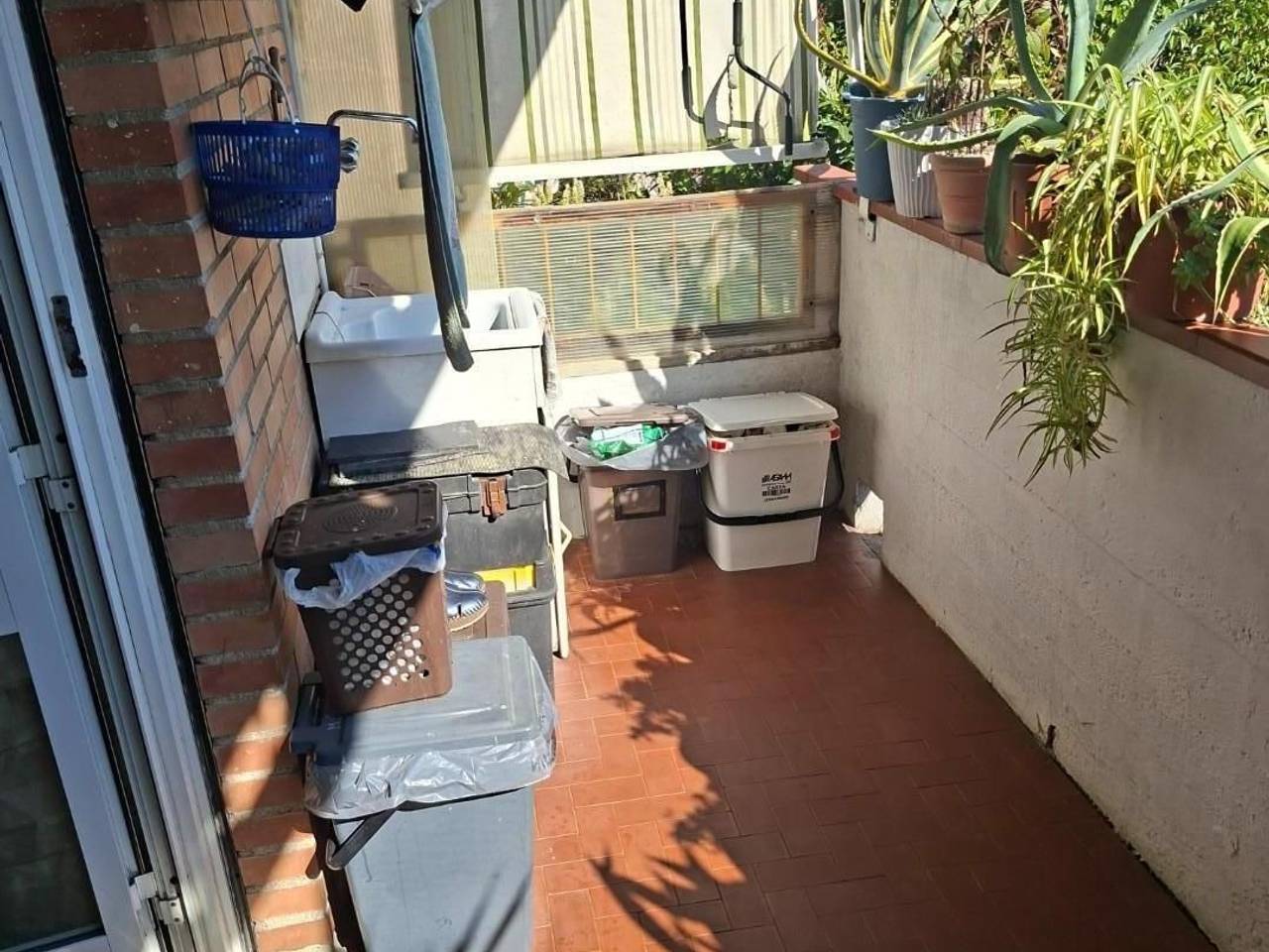 immagine annuncio 9 di 13