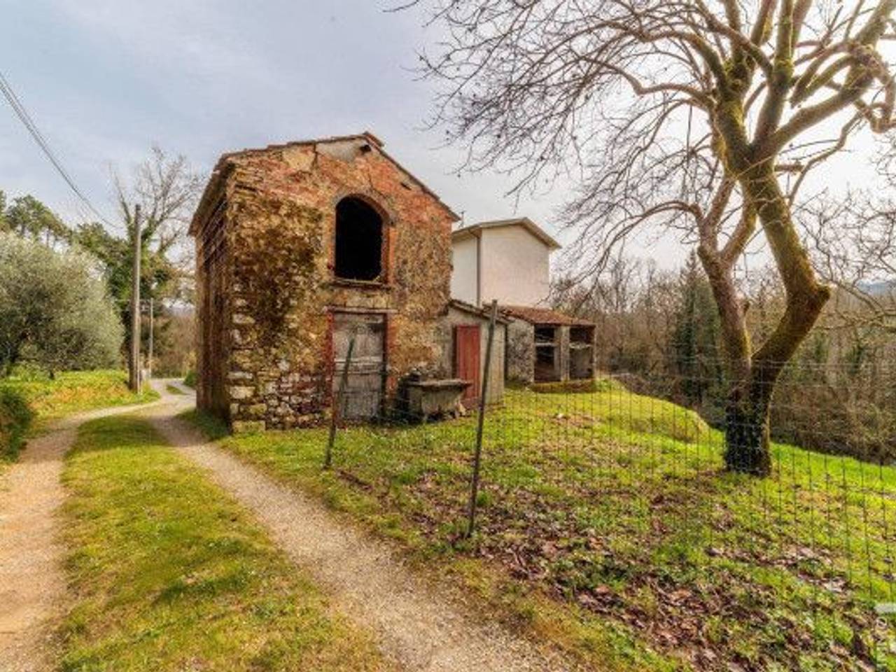 immagine annuncio 8 di 15