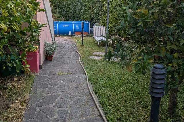 insertion image