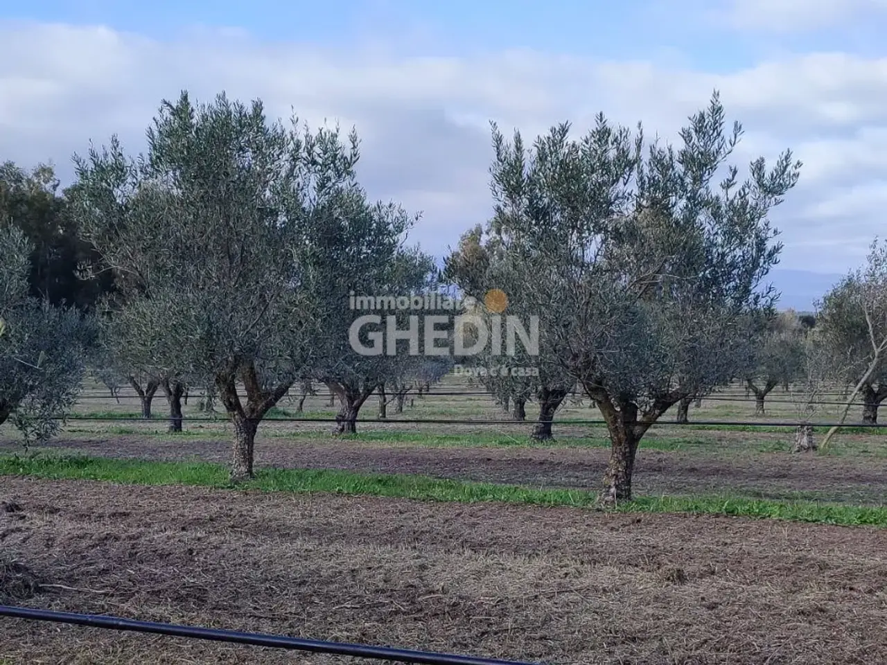 Azienda agricola in , Oristano, {3} - Foto 2
