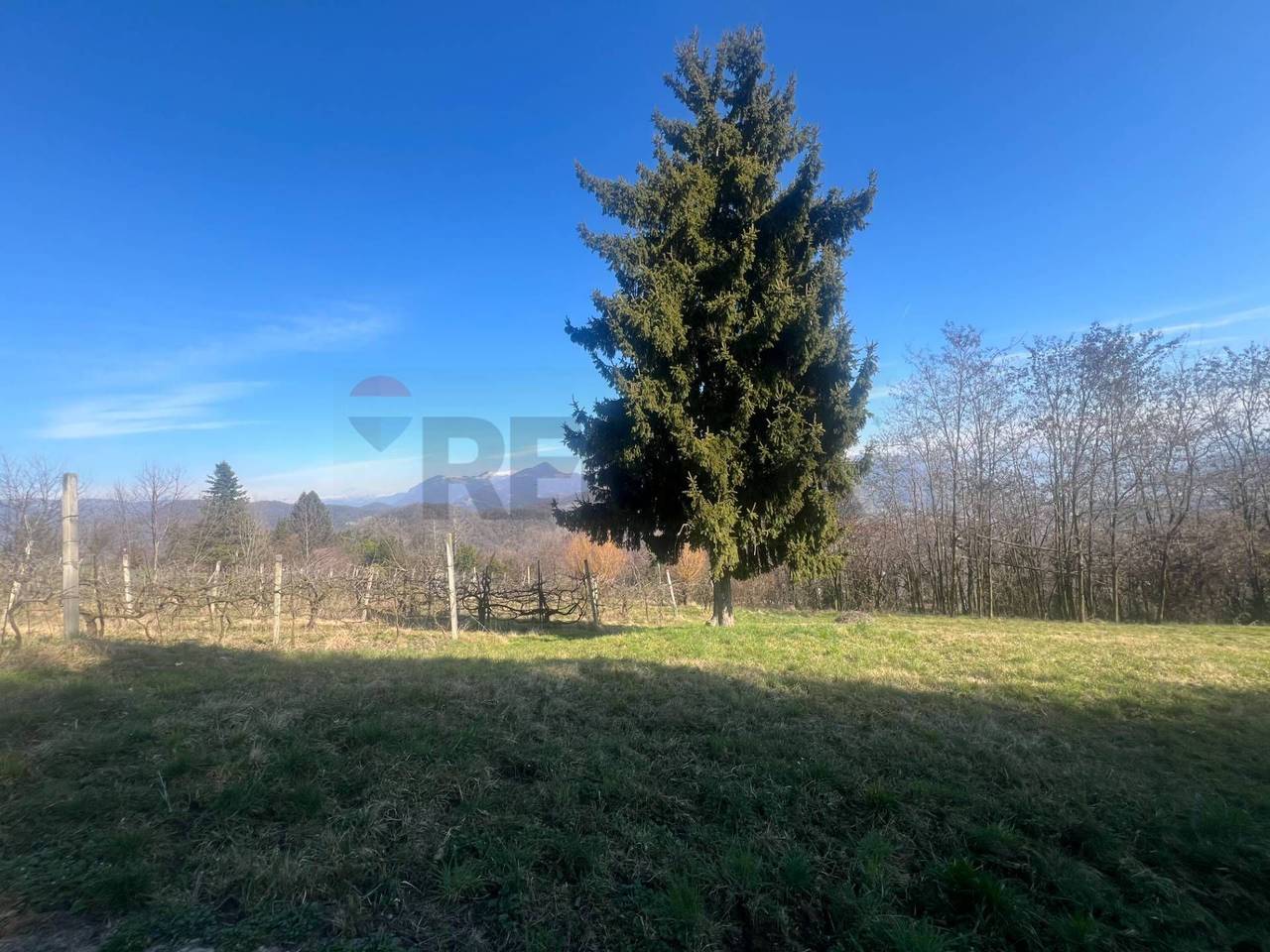 immagine annuncio 4 di 7