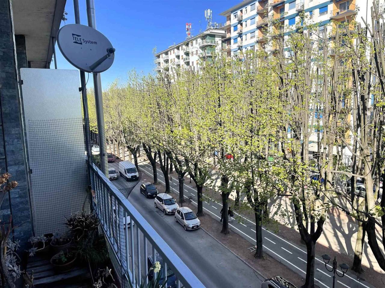 immagine annuncio 12 di 15