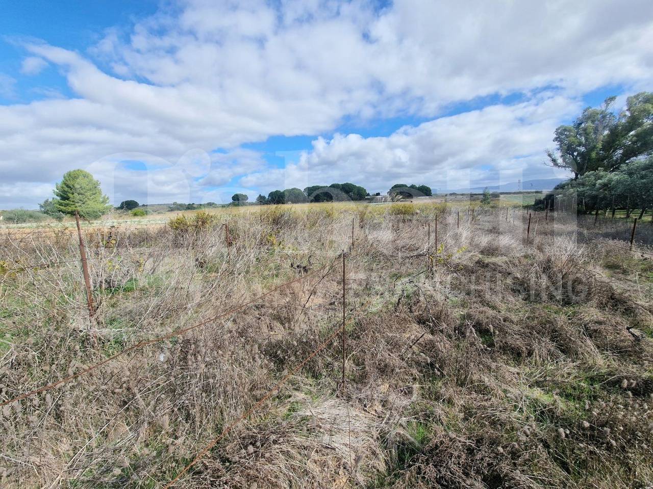 immagine annuncio 5 di 8