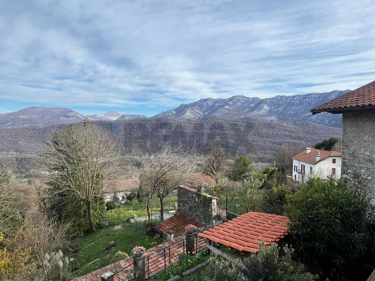 immagine annuncio 11 di 12