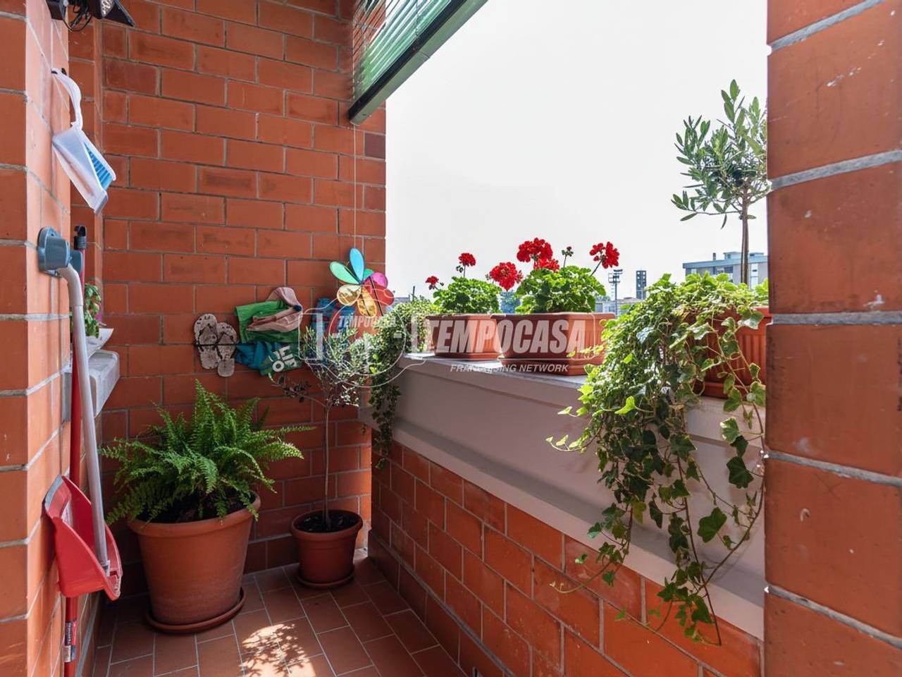 immagine annuncio 11 di 14