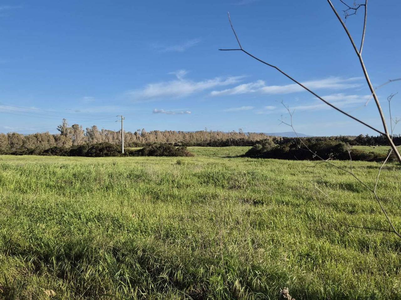 immagine annuncio 8 di 14