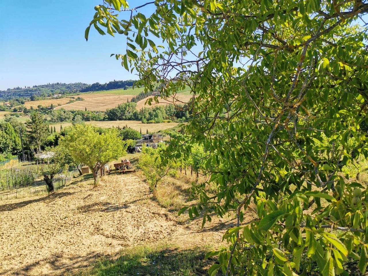 immagine annuncio 7 di 14