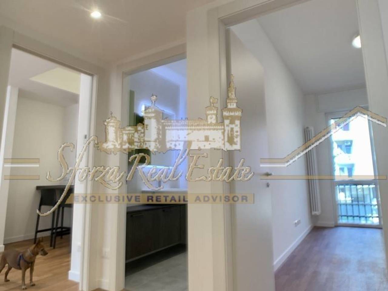 immagine annuncio 4 di 7