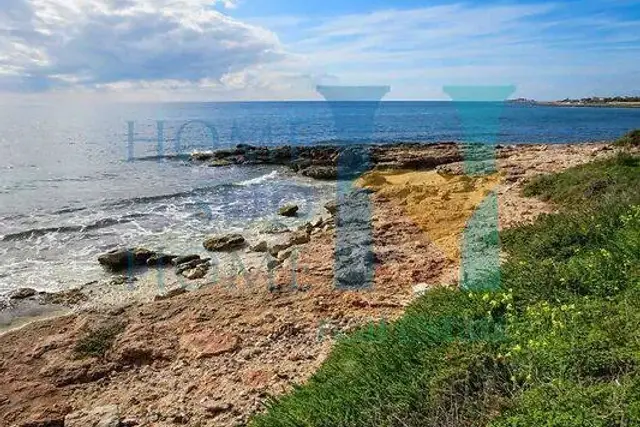 insertion image