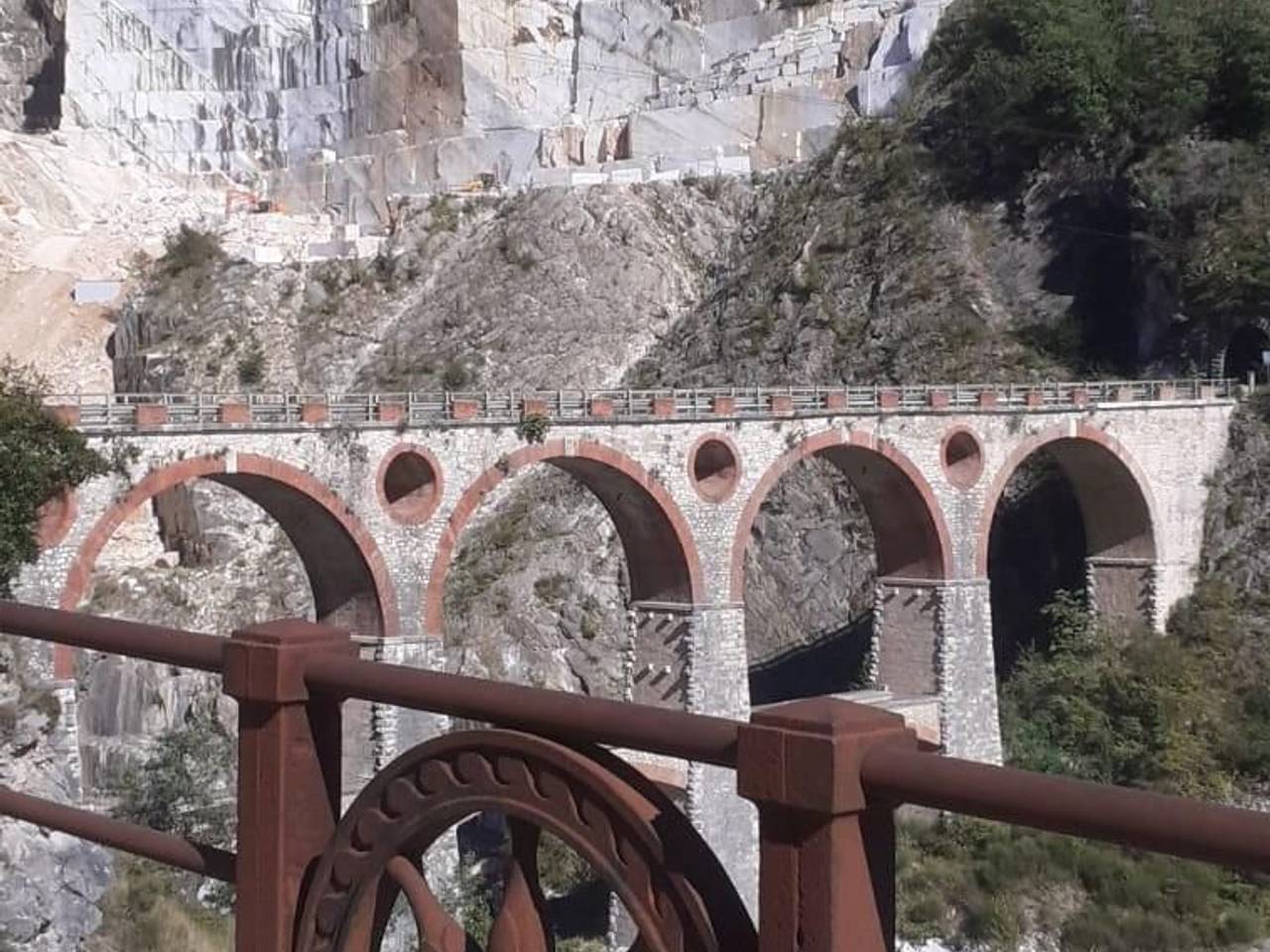 immagine annuncio 13 di 14