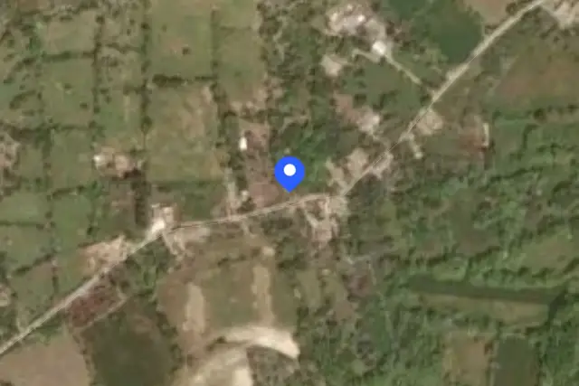 insertion image