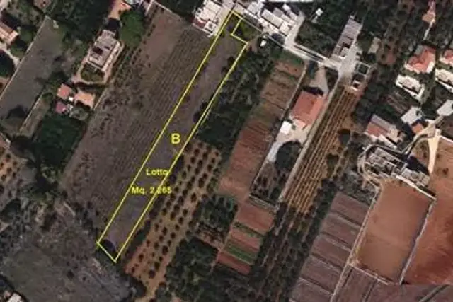 insertion image