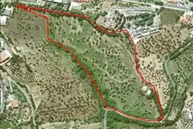 insertion image