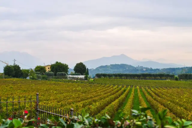 Quadrilocale, Castelnuovo del Garda - Foto 1