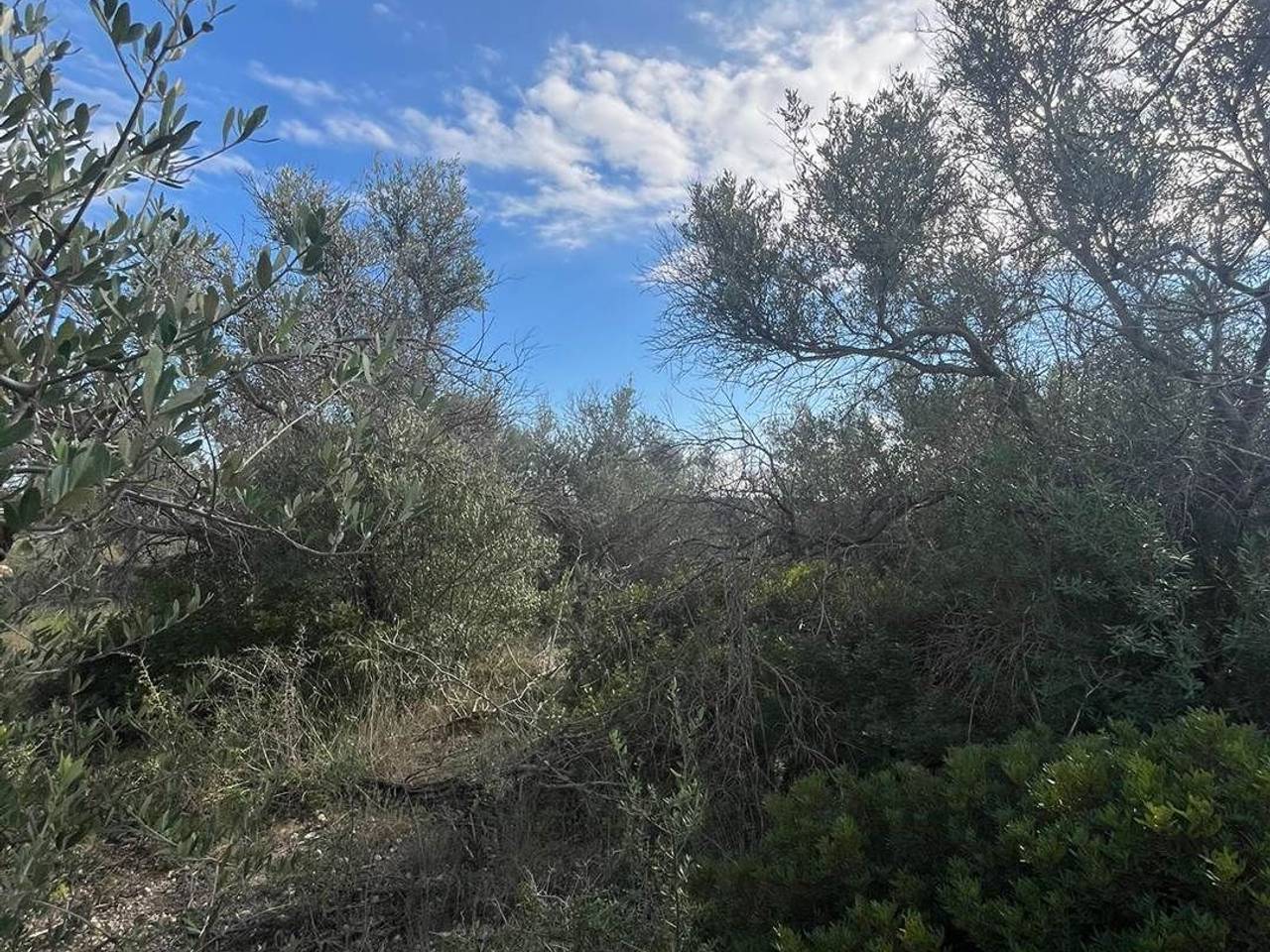 immagine annuncio 1 di 4