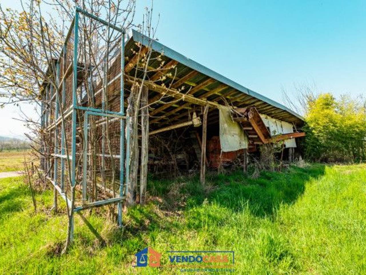 immagine annuncio 9 di 15