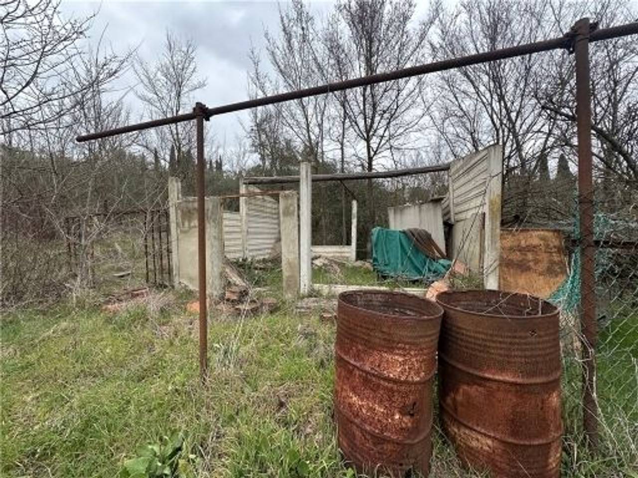 immagine annuncio 14 di 15