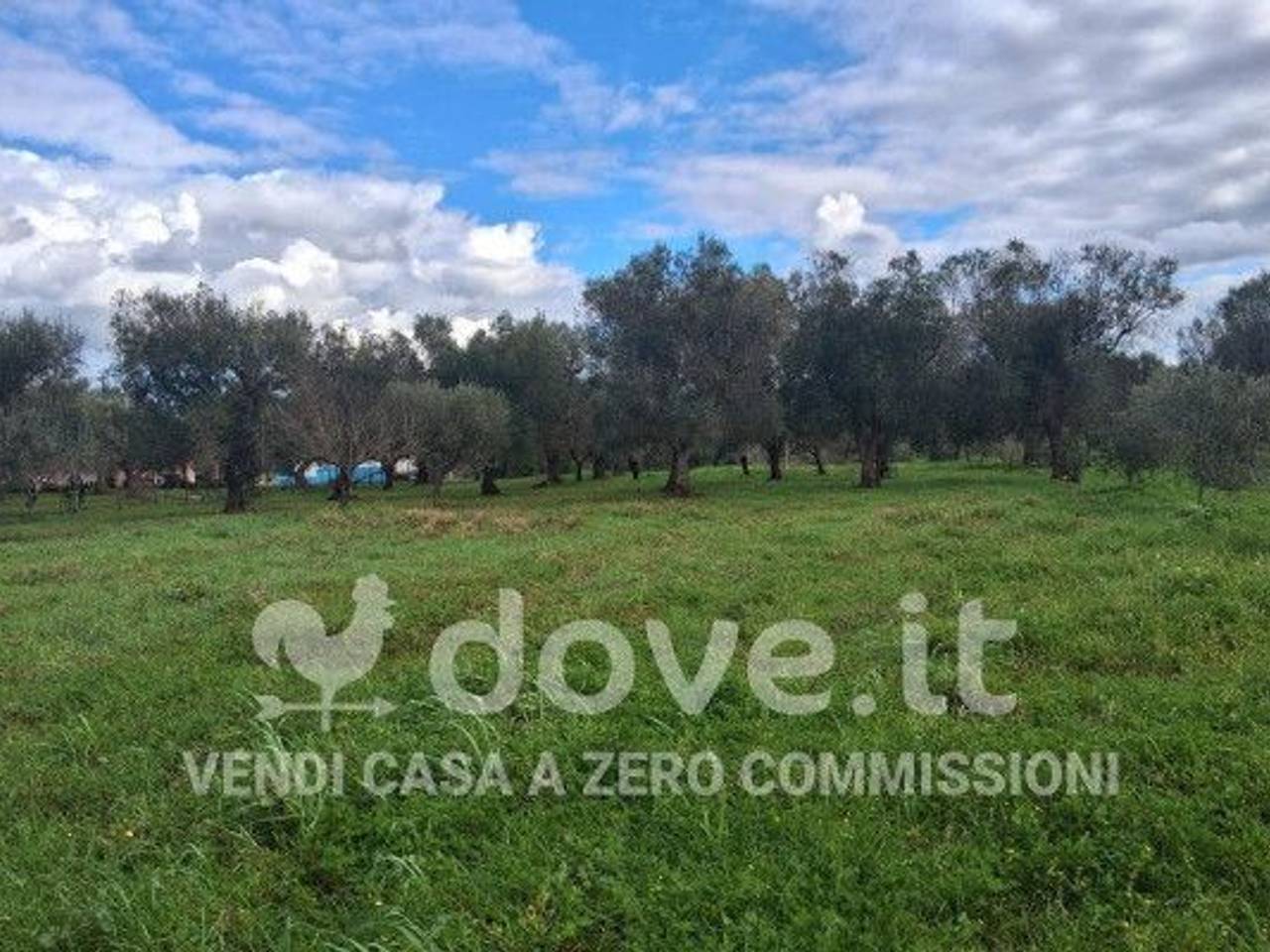 immagine annuncio 8 di 9