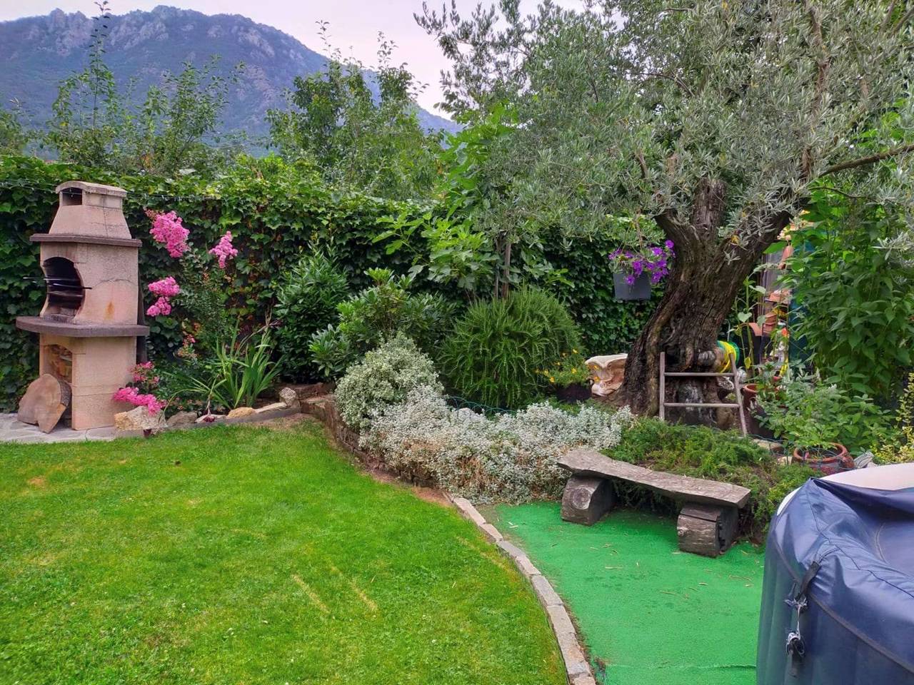 immagine annuncio 5 di 15